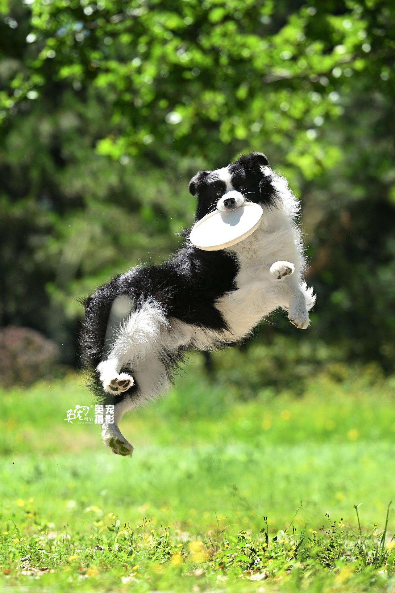 给你表演一个，空中扭腰🤪
【上海可拍】