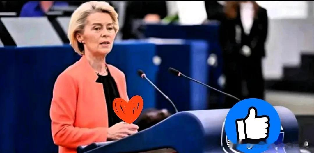 号外！

号外！

乌克兰彻底没电了……

欧盟向乌克兰提供紧急能源援助，孙玉良