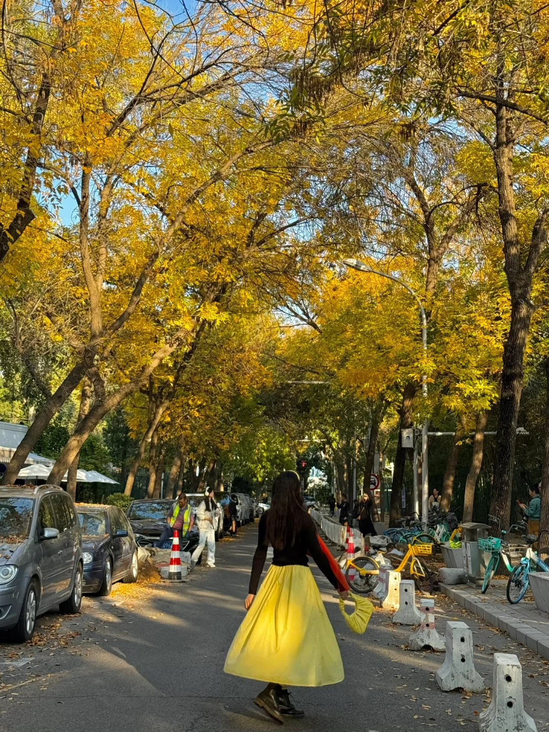 10.15实况live｜在三里屯西五街拍到发光秋景