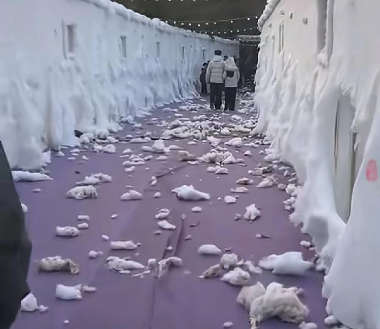 最近很多人都听说河南郑州新开了一个雪乡，通过宣传视频可以看到里面的宣传画面，非常