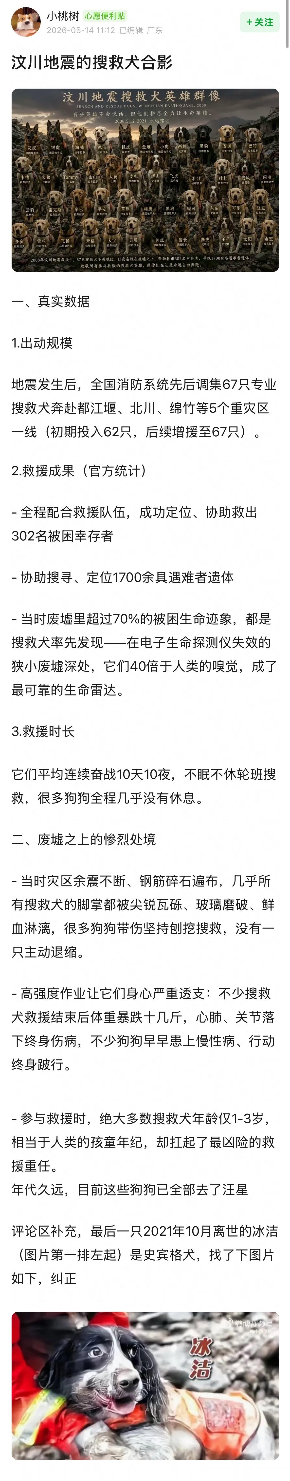 汶川地震的搜救犬合影狗狗们辛苦了 