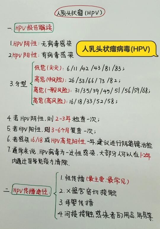 今日学习打卡——人乳头状瘤病毒(HPV)