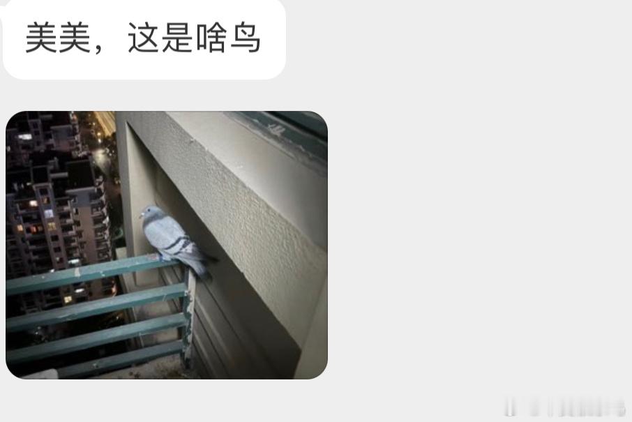 填空题环节～（  ）子这下都会了吧[开学季]！ ​​​