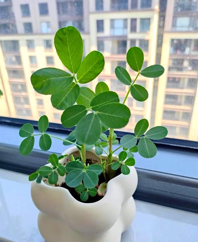 手里有点闲钱的人真得掂量掂量。
12万存款给儿子凑首付的，前年发小一句进货周转不