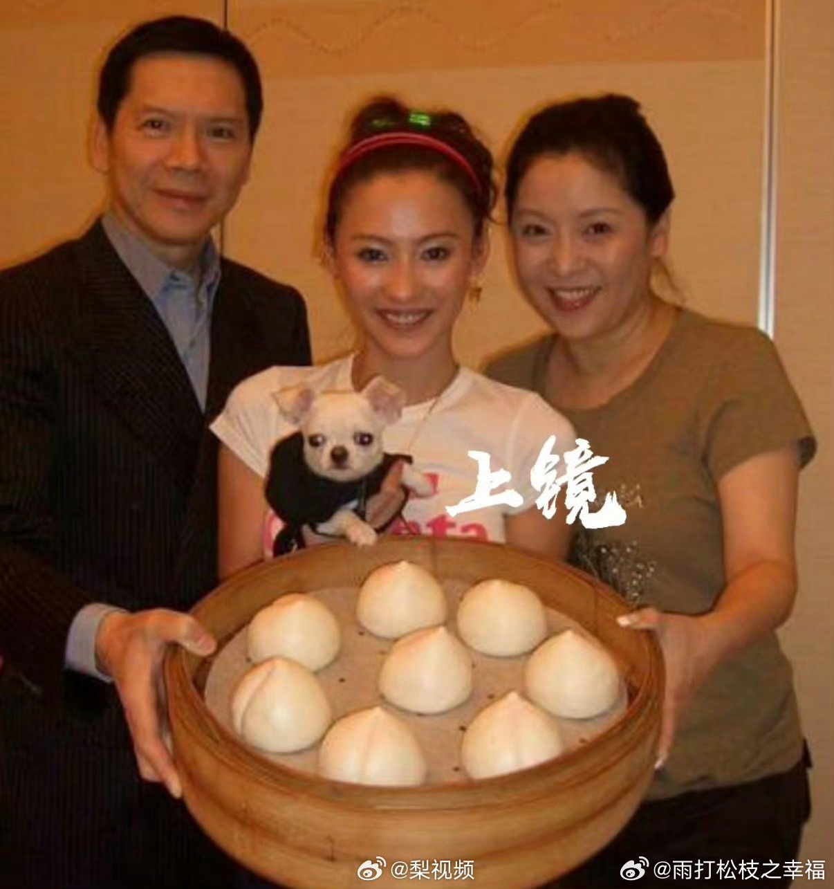 向太力挺王菲谢霆锋向太陈岚打破沉默公开力挺王菲与谢霆锋，驳斥网络上诸多离谱谣言，