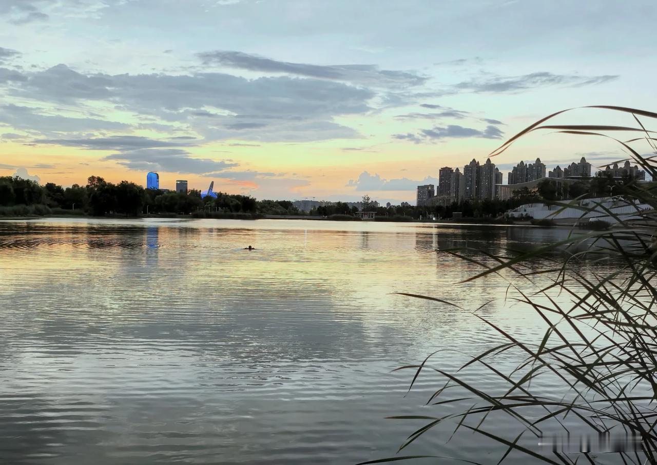 傍晚，当一缕阳光吻过湖水时，周围的景色好像偷偷地换上了滤镜。远处的小区，似乎变成