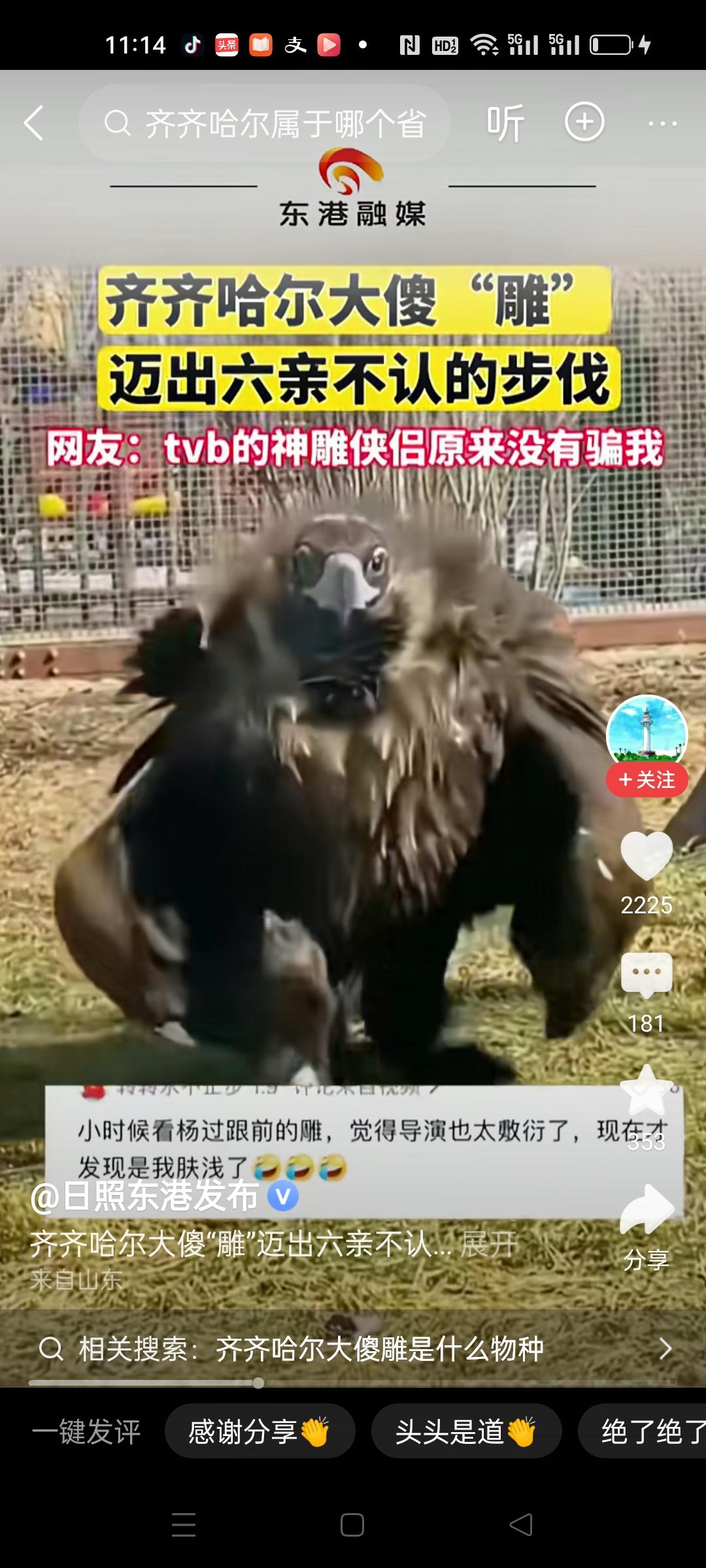 齐齐哈尔龙沙植物园里大傻雕走红，看第一眼真以为是人装扮的，这走路姿势太搞笑了。