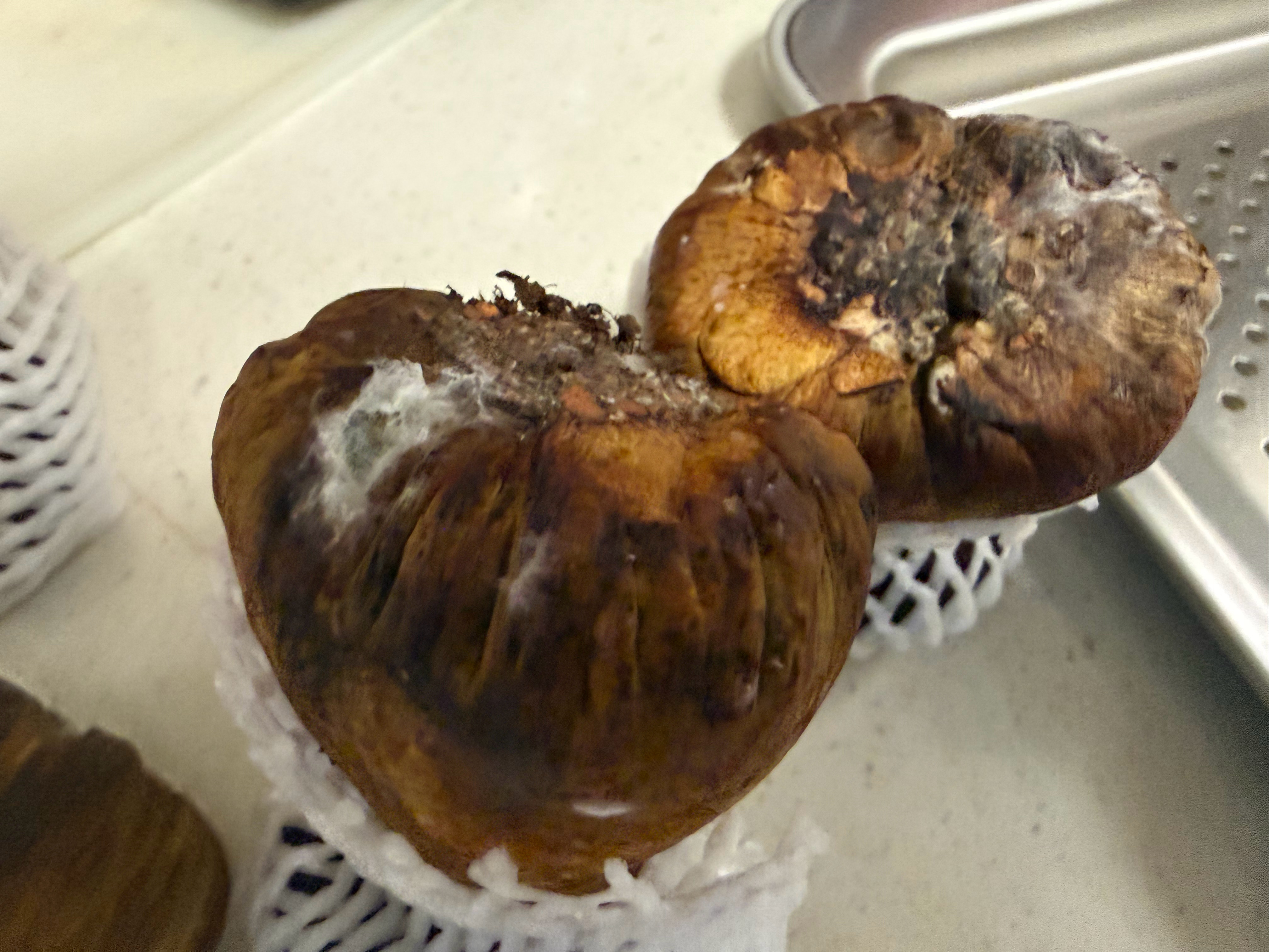 牛肝菌发霉了能吃吗？你确保能吃能吃我就不退了
