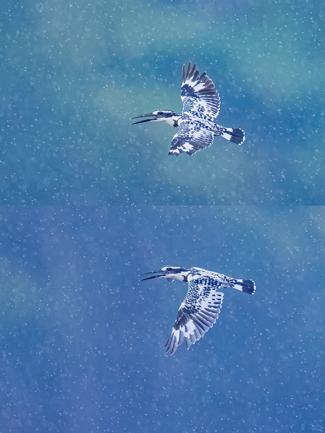 速度与iso，3200，雨中飞行