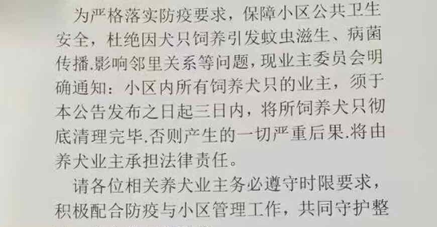 江门一小区业委会发公告要求清理犬只，街道工作人员：无法律依据，已要求作废公告 江