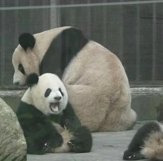啊～