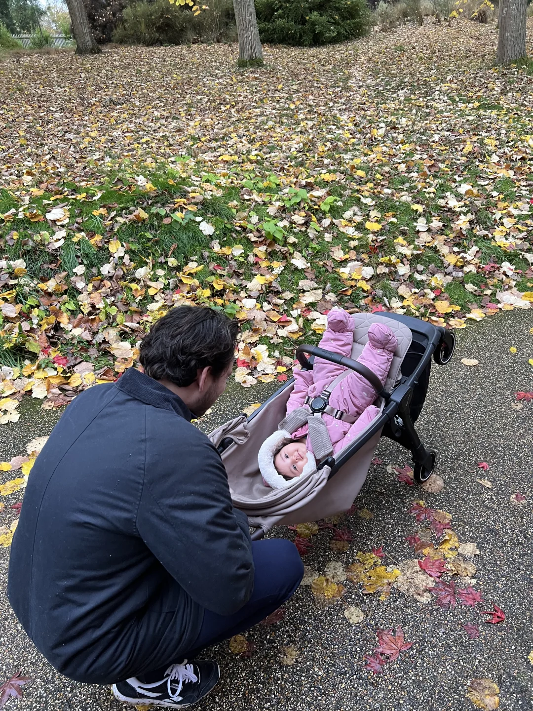 🇬🇧英国周末和clic2婴儿车带娃去赏红叶🍁