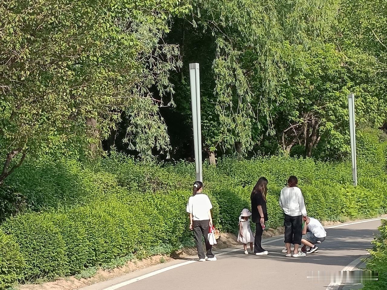 给娃修理下小车车。
公园里的路边，小车车的小轮子让一块小石头卡住了！这下子，儿子