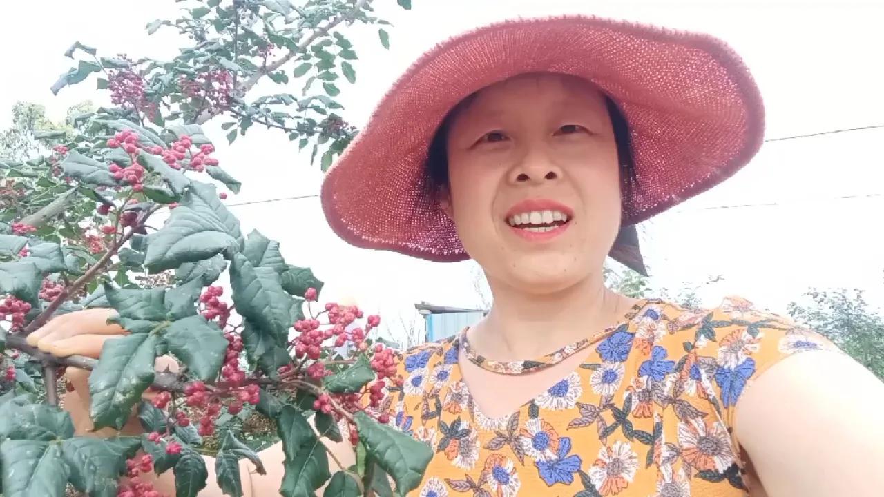 这几天比较忙，妹妹家过白事，没时间回复友友，抱歉