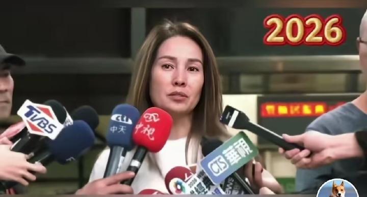 “台立委高金素梅重金交保重获自由后，面对媒体记者表态:我希望能够台湾和平，人民能