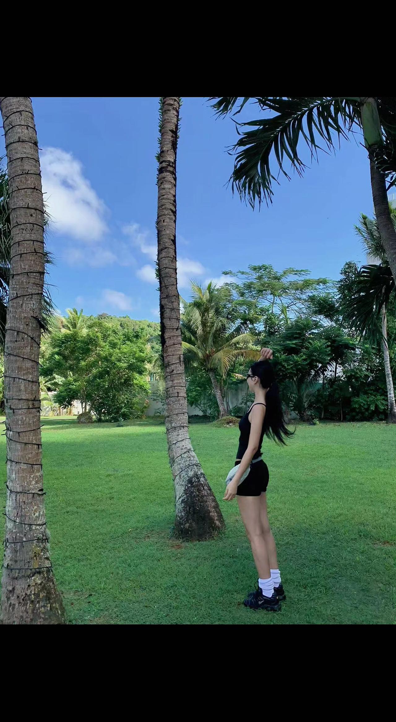 🌴仰头碰碎一捧阳光✨ 椰影是流动的诗行🌿 风把心事吹成自由形状