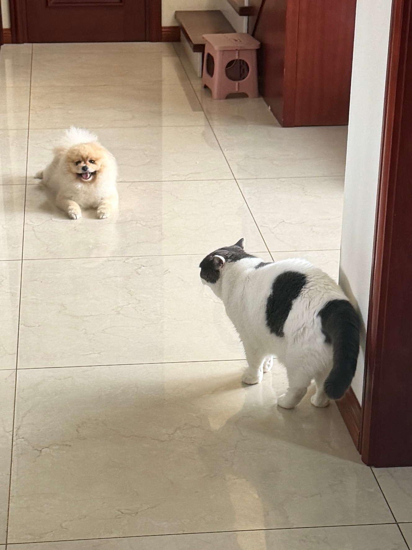 两个肥肥的小朋友 