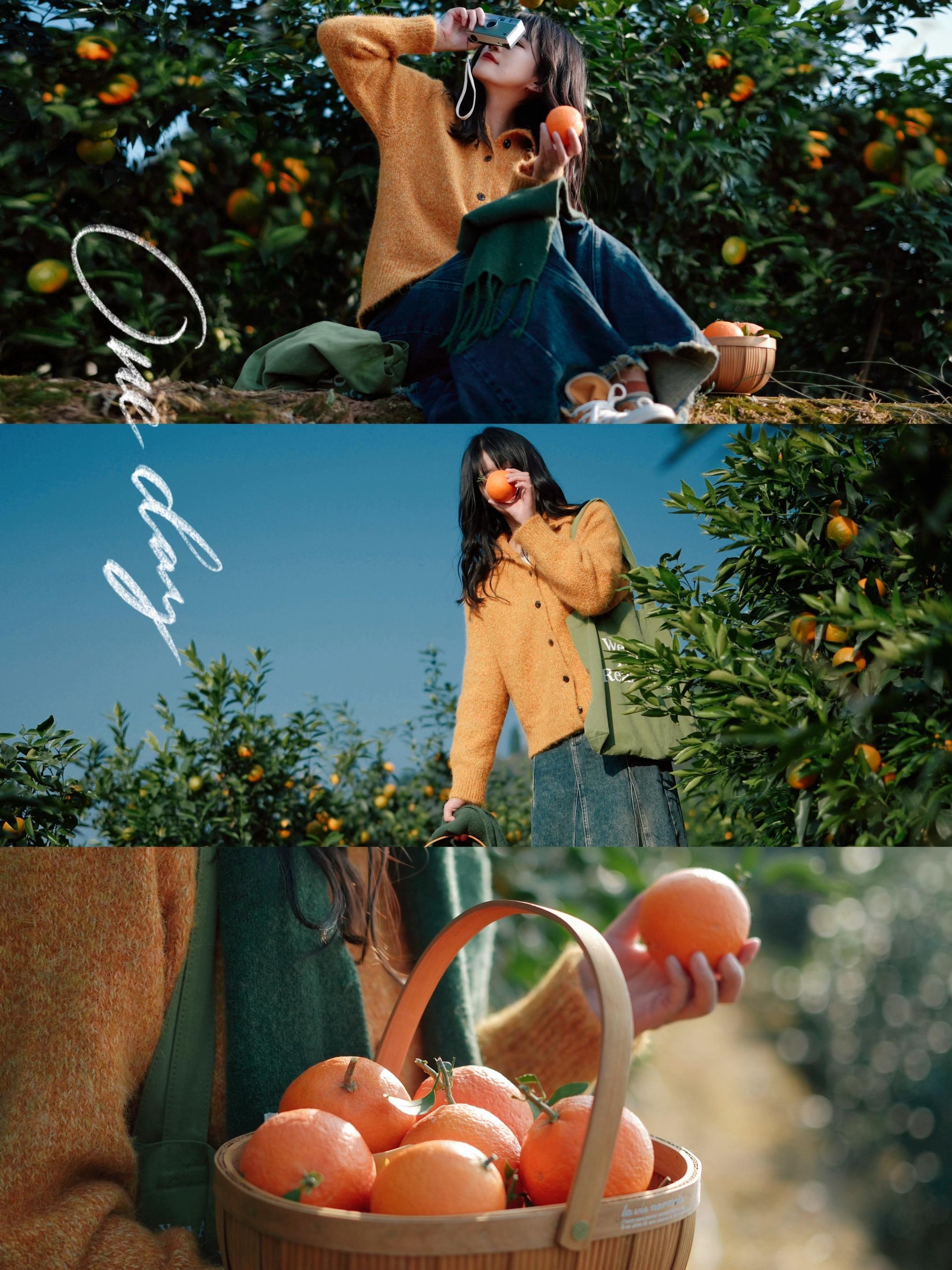 小森林～橘子味的冬日暖阳～