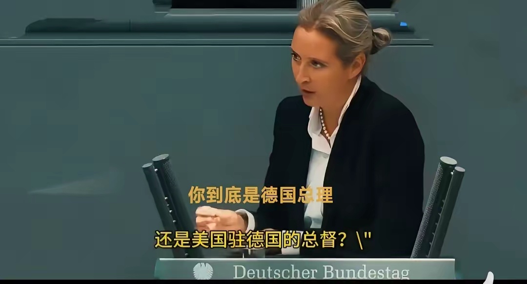 德国经济衰退，民众怨声载道。极右翼女政客魏德尔在议会当场怒斥总理：“你到底是德国