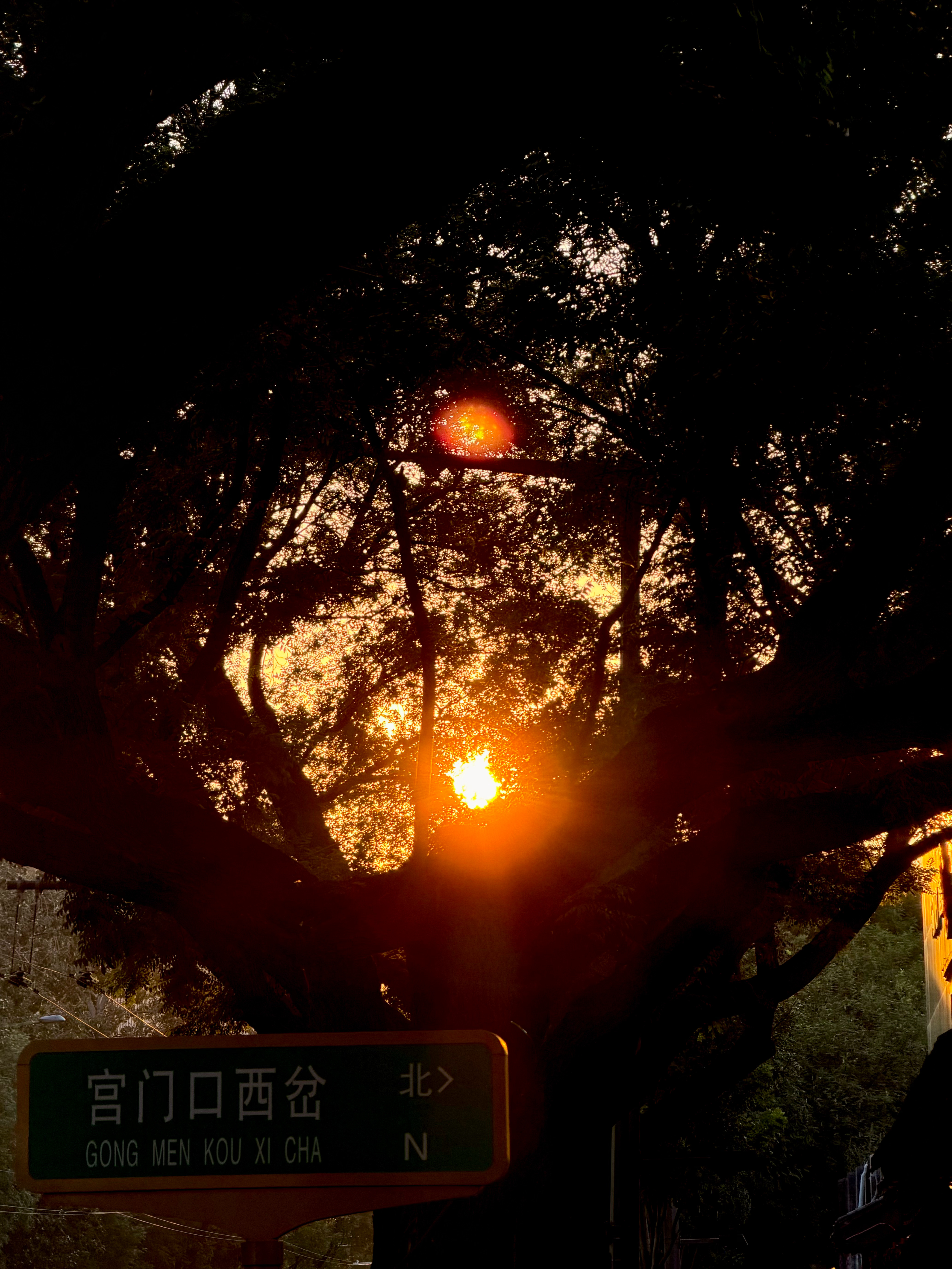 空气像青苹果🍏 ​​​