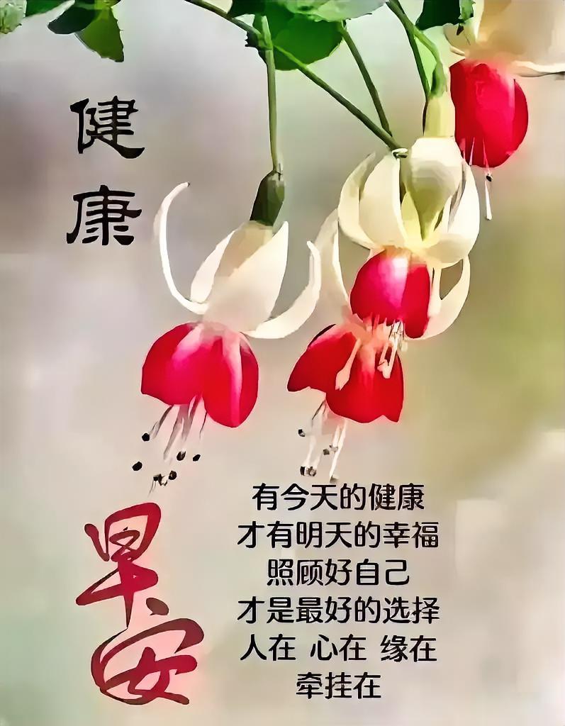 红白花朵垂枝俏，健康早安要记牢，照顾好自己，幸福才会长长久久。
分享早安的美好话