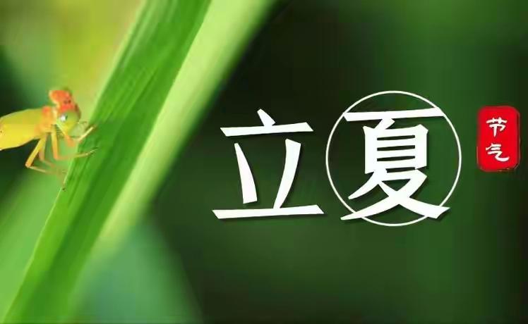 今日立夏：也是万物生长的起点
2026年5月5日19时48分41秒，太阳到达黄经
