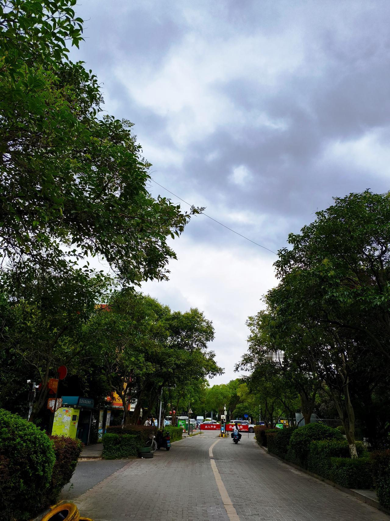今天南京早上凉快了，云厚风大，4 - 5级的风估计是“巴威”台风前奏。身体终于不