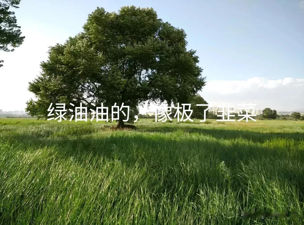 炒股日常：悲观什么，没看见底部在抬高吗？
前天已经说过了，疯狂洗盘中。
本不想老