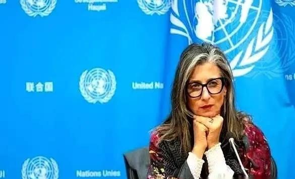 阿尔巴内塞在联合国的报告公开指责以色列实施酷刑和种族灭绝，并直言这是国家政策，阿