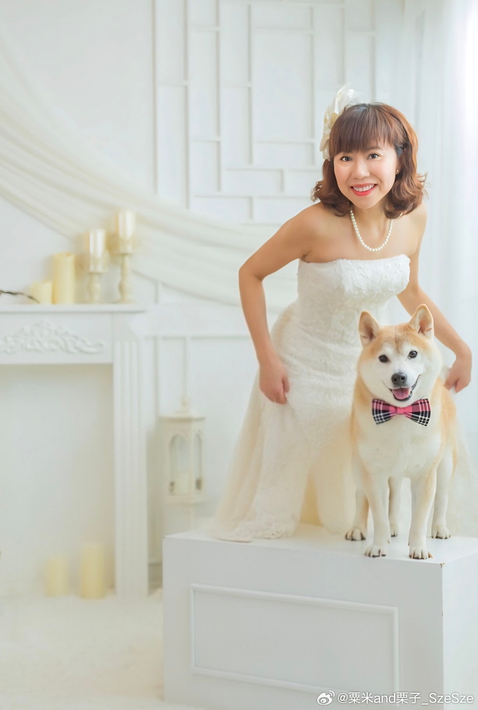 今日是栗子離開我的 2 週年，我仍然天天掛念，心仍然很痛 😭😭😭😭柴犬柴