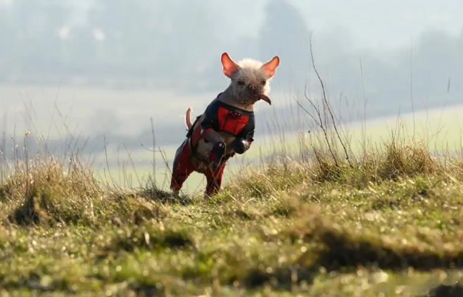 #周二心情# 早！ ​​​