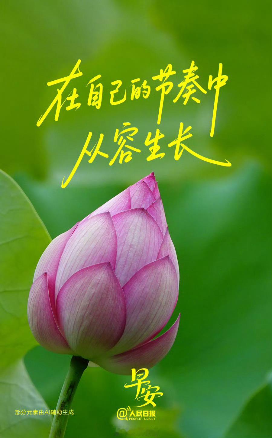 阳光信用 “生命中真正重要的，并非你所遭遇的种种困境，而是那些深深刻印在心的记忆