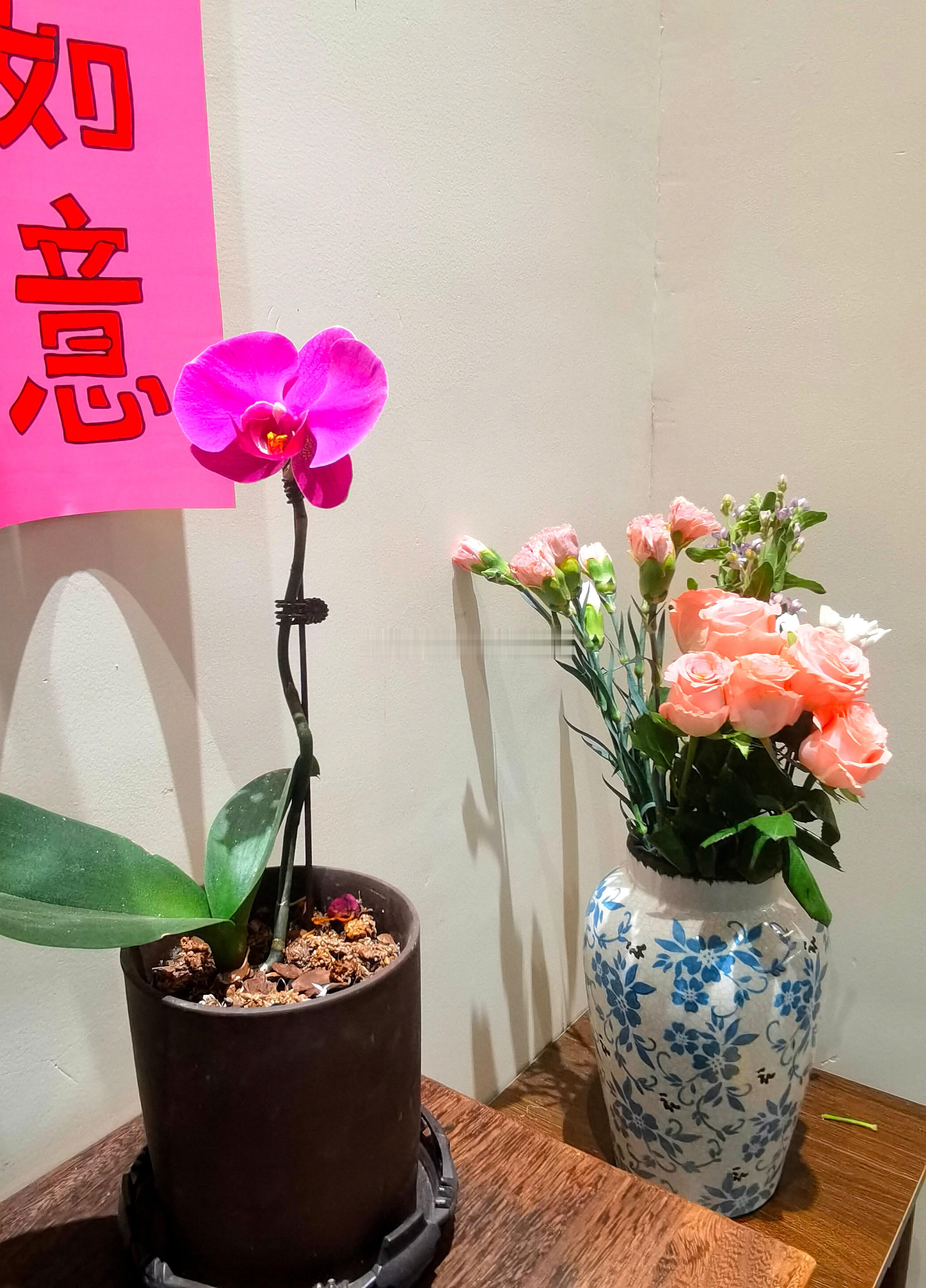 每天分享一个养眼花卉。随拍，我们店里的一盆蝴蝶兰。月季是孩子们买回来插的。早安，