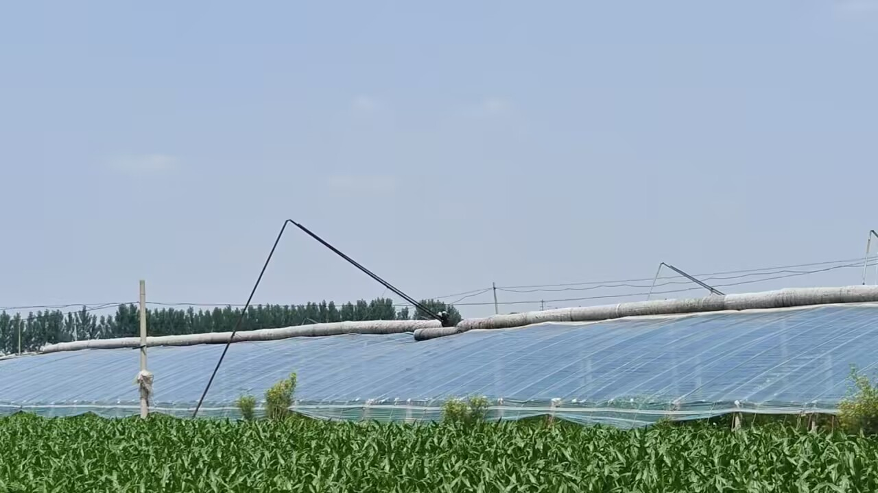 秦岭笑谈[超话]三下乡2025三下乡社会实践大学生暑期社会实践曲阜师范大学 齐疆