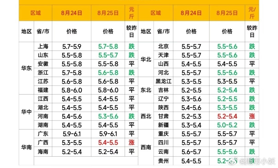 每日猪价 