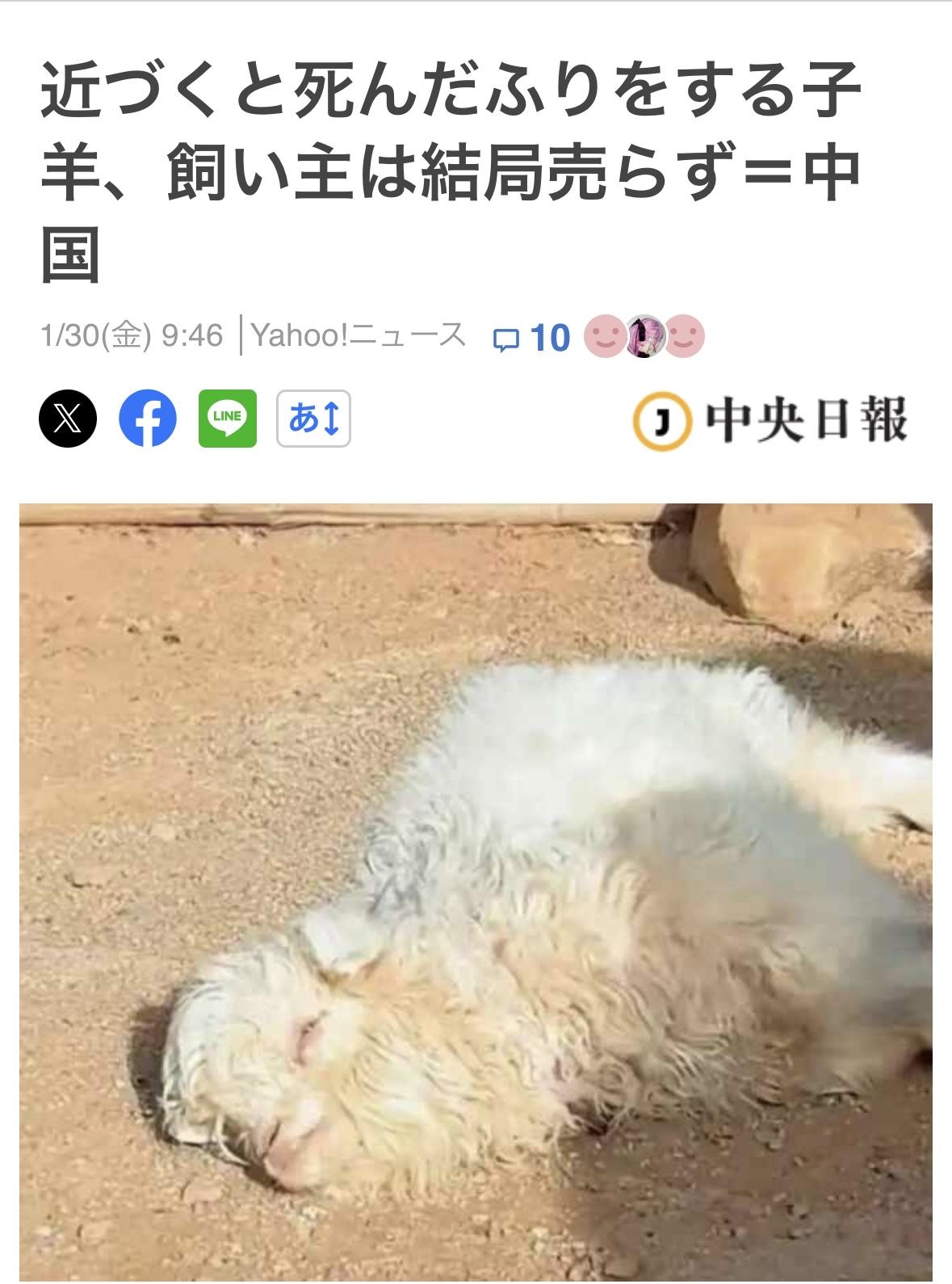 宁夏农民金晓林带着四只十天大的小羊羔去市场卖。他卖掉了三只，每只420元人民币，