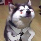 朱笑侃体育