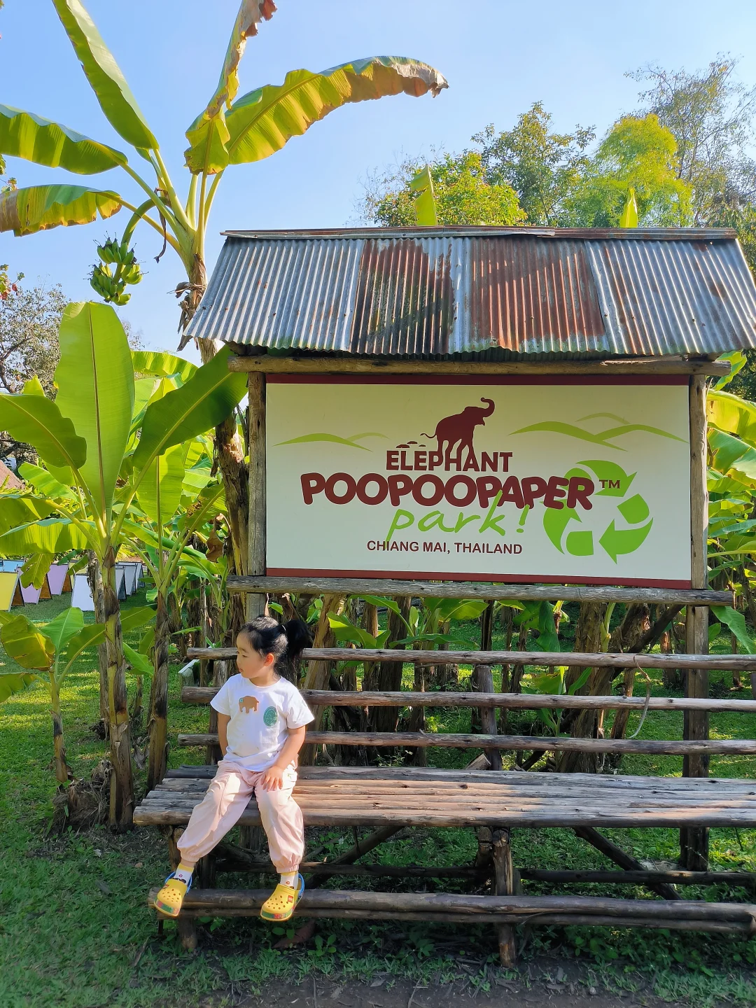 清迈亲子游必冲！🐘大象粑粑造纸乐园