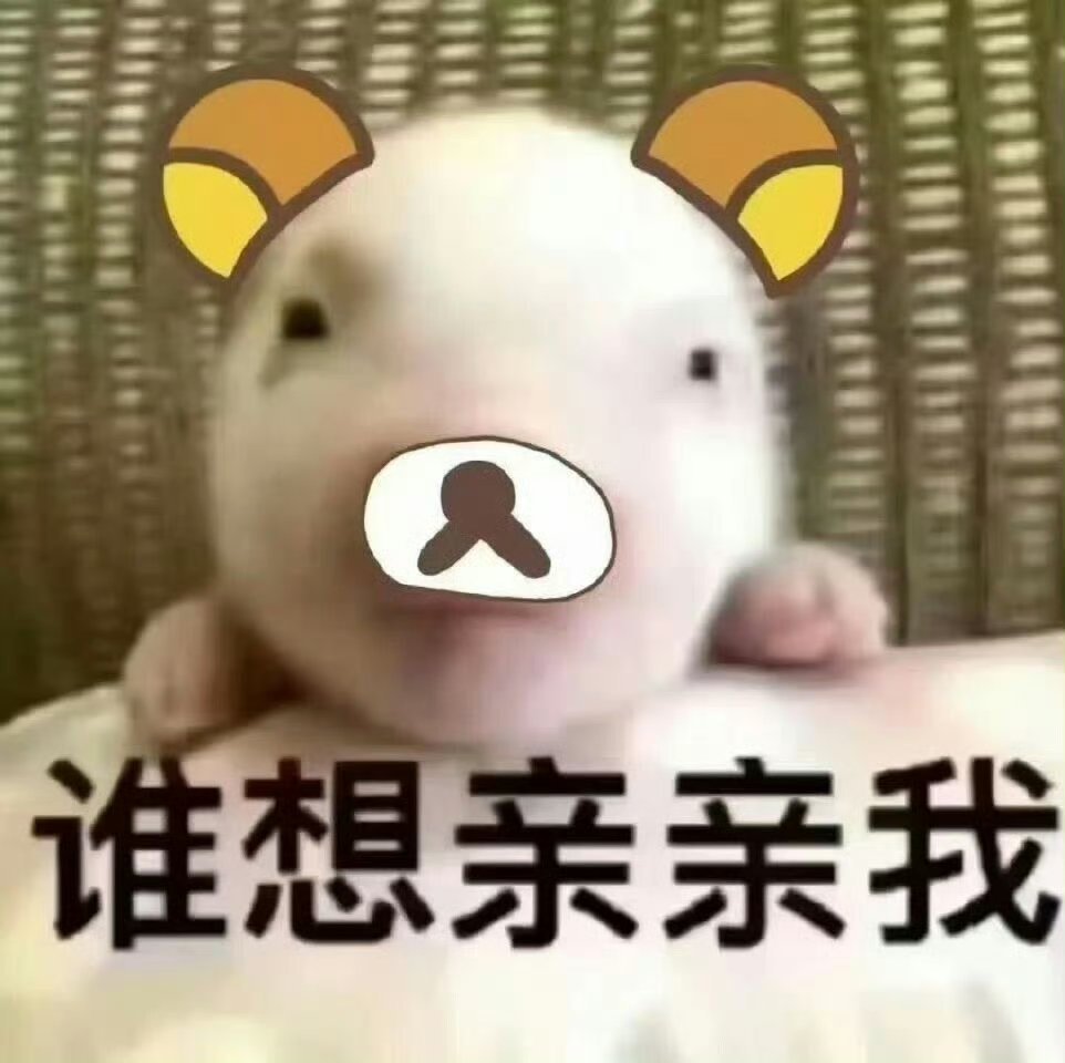 分享图片 