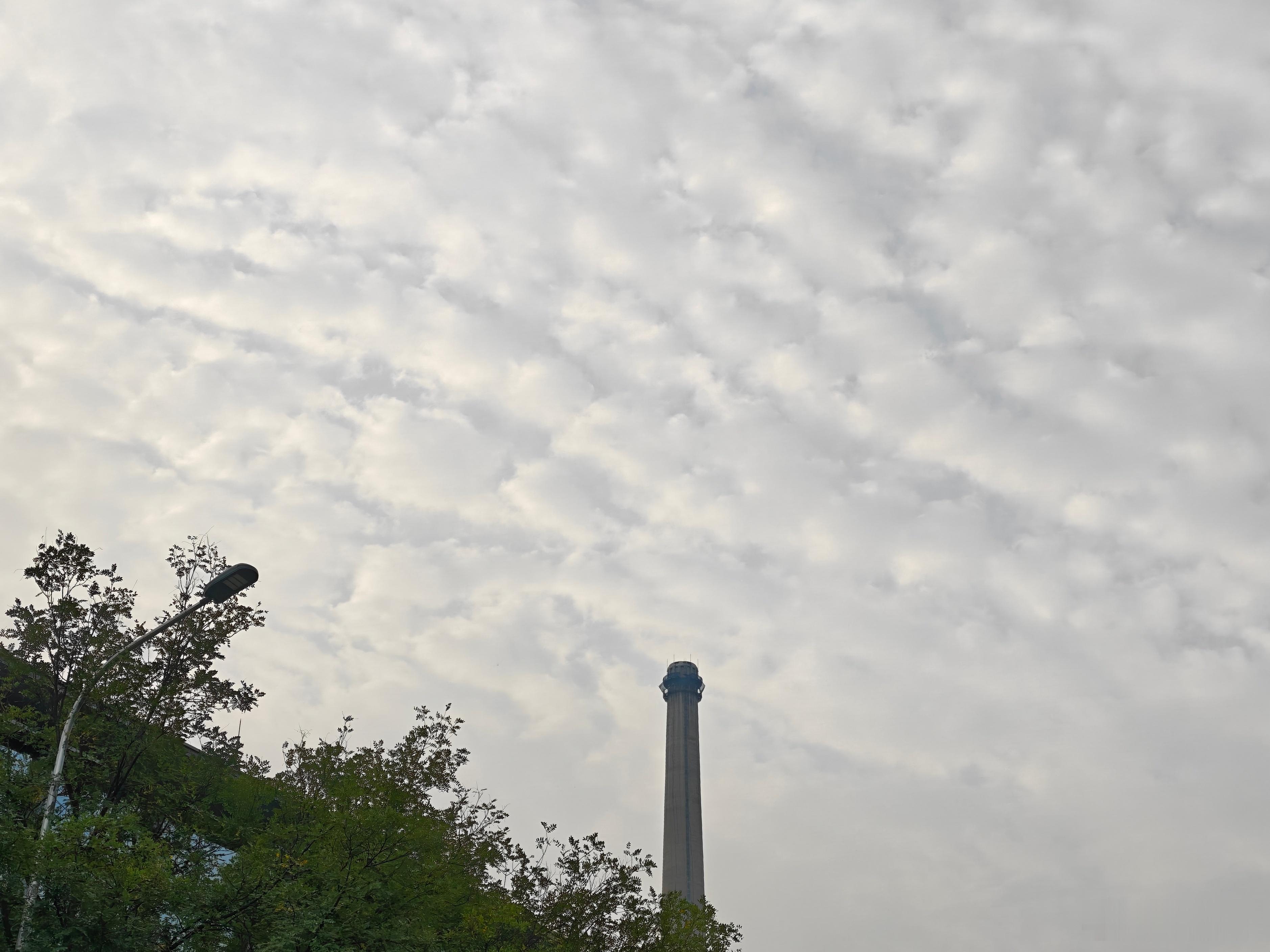 今日倒头条 ​​​
