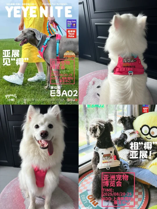 谁懂！莓果色和白皮真的太配啦