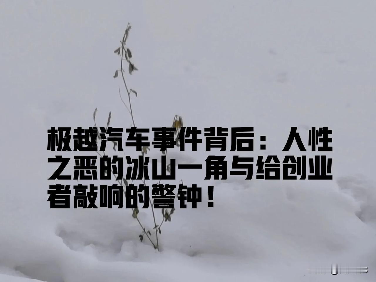 极越汽车事件背后：人性之恶的冰山一角与创业者的警钟！

极越汽车事件，不仅是一场