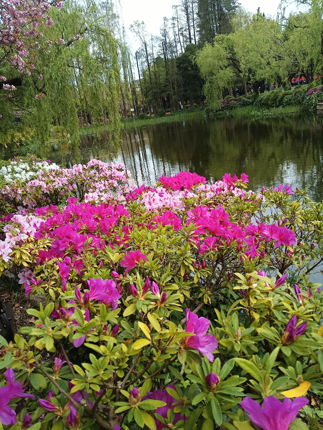 近期，该方向利好消息频传，后市值得更多关注！
近期，中国绿色燃料行业利好不断。据