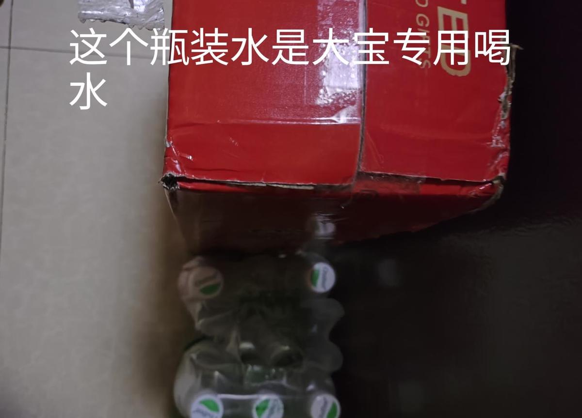 怪事年年有，但专挑人下菜碟的蚂蚁你们见过吗？
大宝水壶里反复冒出蚂蚁，平时姥姥带