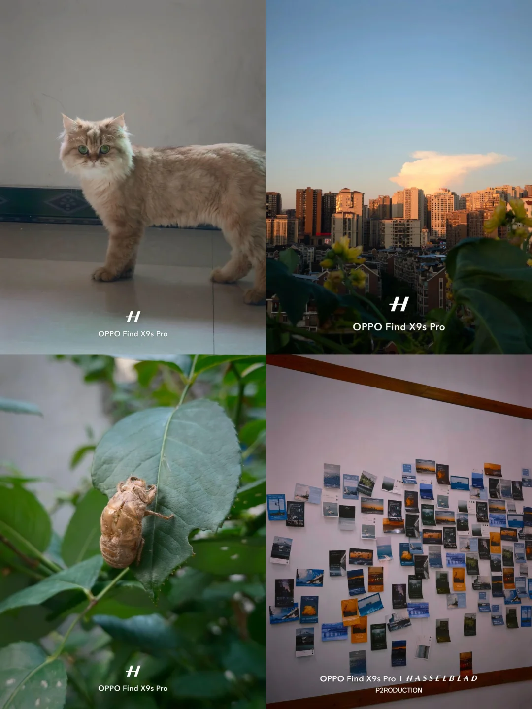 阳光下画面通透干净，没有过度锐化，照片保留原生质感，翻看相册依旧有种身...