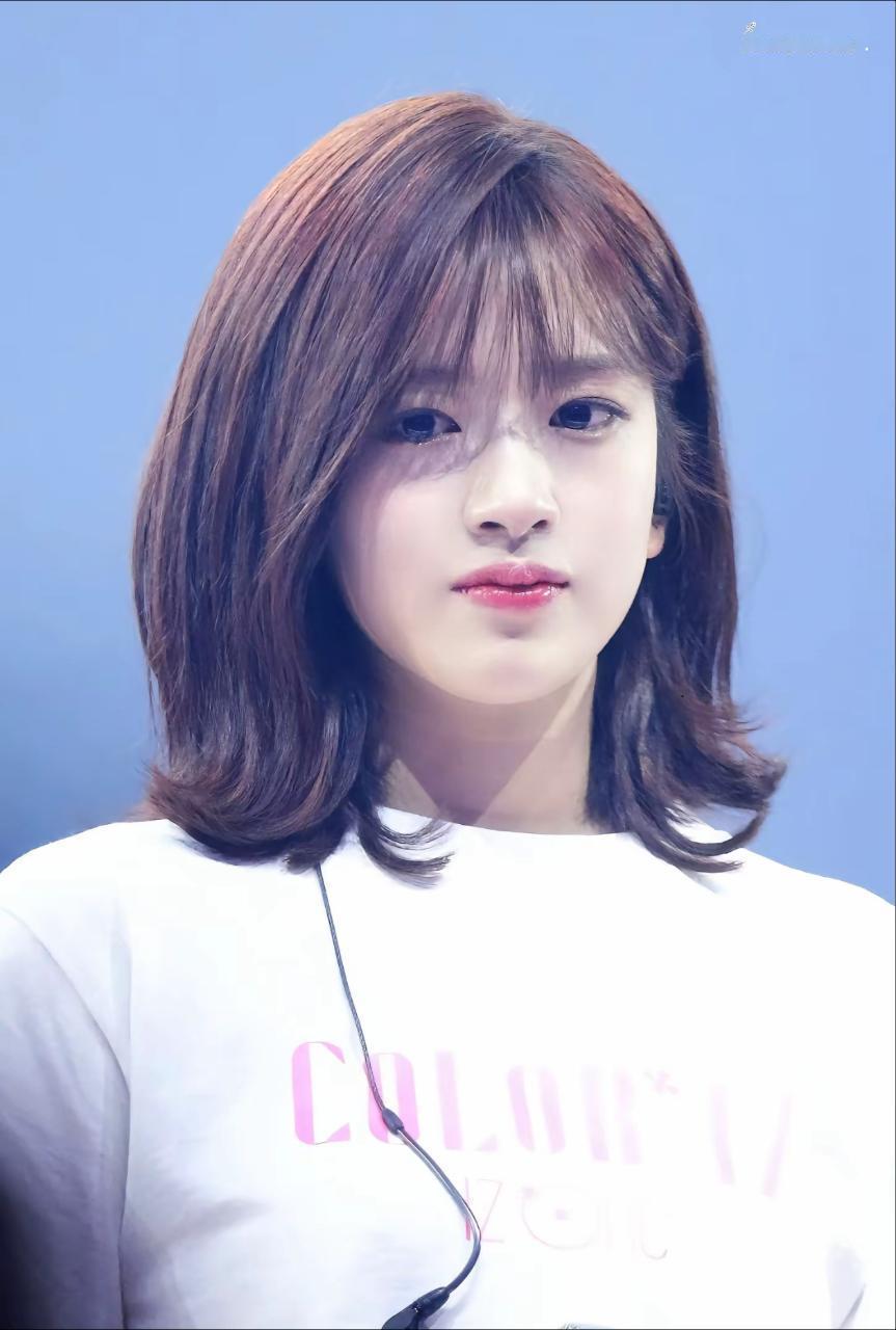 【安宥真】好萌啊 小幼犬宝宝  ／aaa红毯