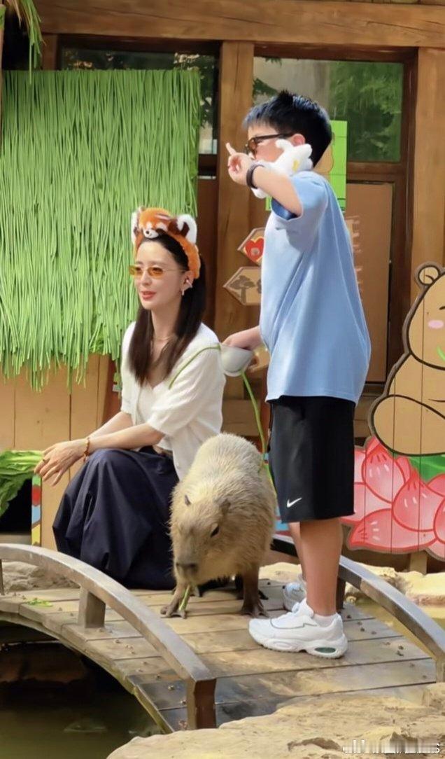 佟丽娅这婚离了等于没离 陈思诚基因太强大了！佟丽娅儿子朵朵长得跟爸爸一模一样，网