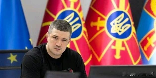 乌克兰国防部长近日表示，乌克兰正在测试激光防空系统，扩大对沙赫德无人机的拦截范围