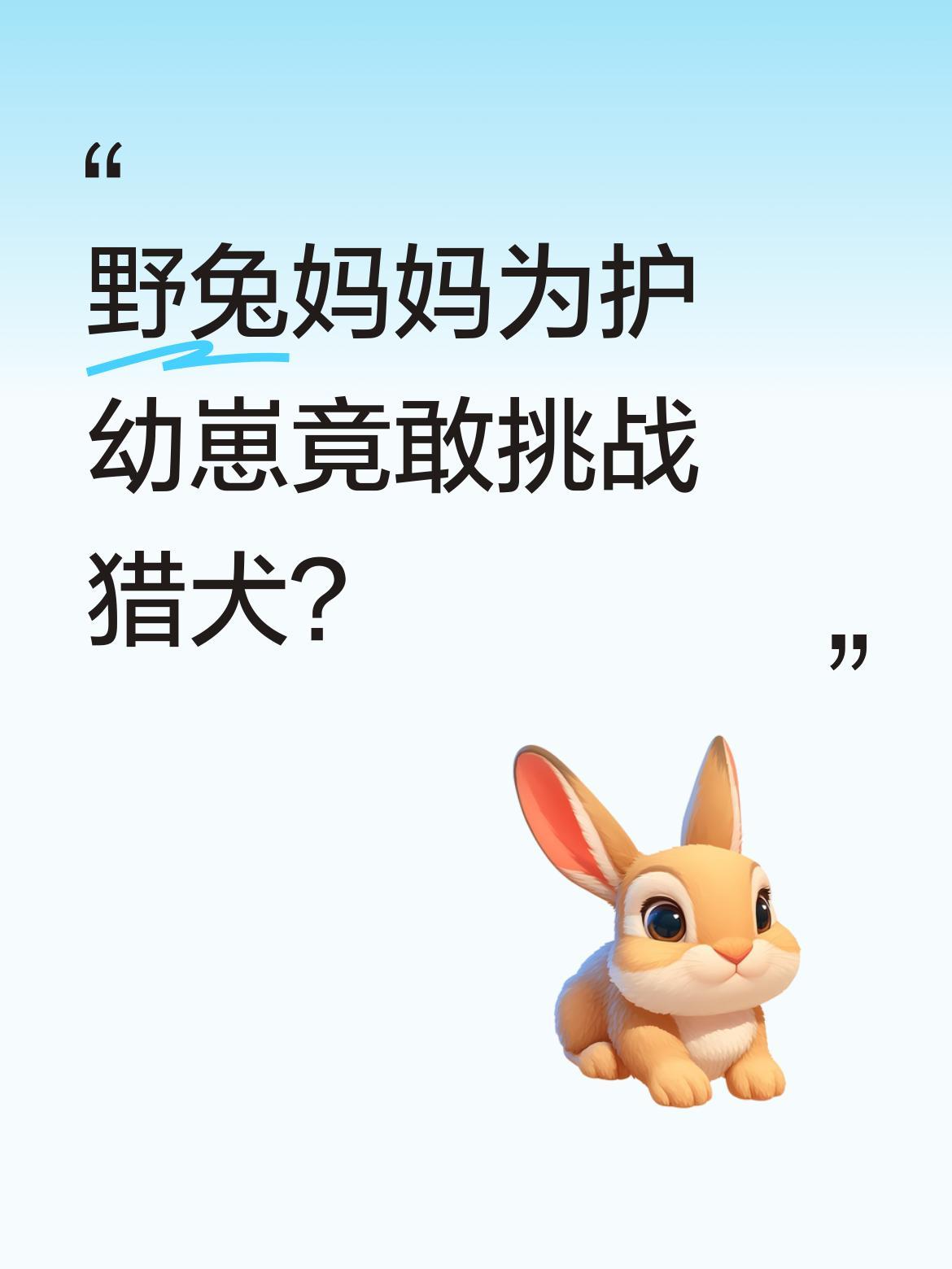 野兔妈妈为护幼崽竟敢挑战猎犬？
这段视频记录了令人惊叹的一幕：野兔妈妈为保护洞穴