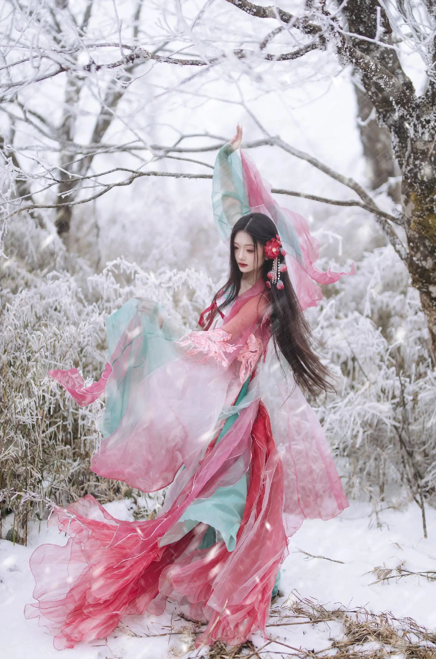 她在风雪里起舞~
